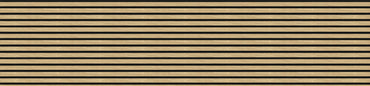 Acoustic Wall Panel - Light Oak